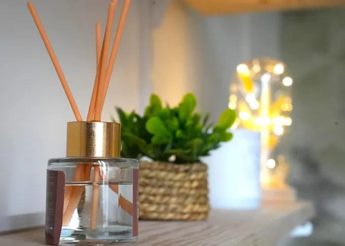 Au Coeur Du Mans Le Mans